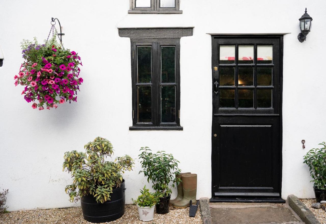 Woodview - Cosy 1840S Cottage In Chew Valley And Mendip Aonb Compton Martin Exterior foto